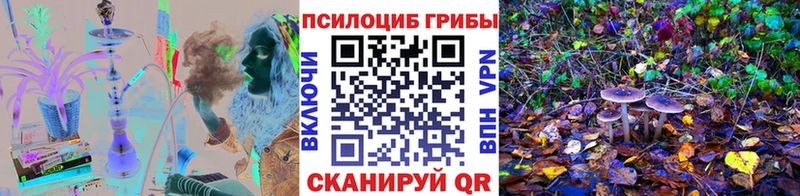 Псилоцибиновые грибы Psilocybe  Котельнич 