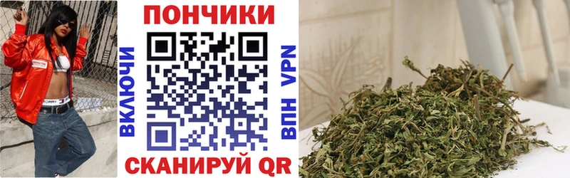 Бошки марихуана конопля Котельнич